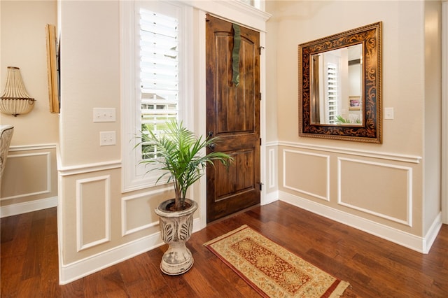 foyer entrance featuring dark hardwood / wood-style floors