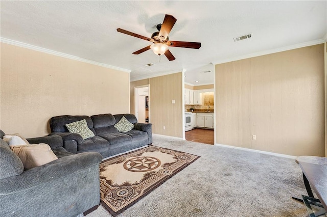 3108 Bluestem Dr, College Station, TX 77845 - carpeted living area with ceiling fan, crown molding, and baseboards