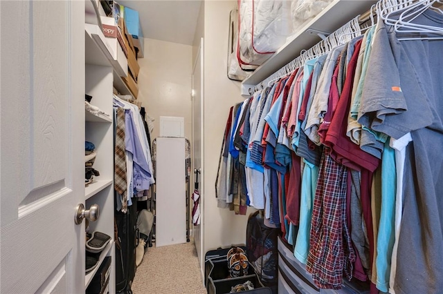 walk in closet featuring carpet floors