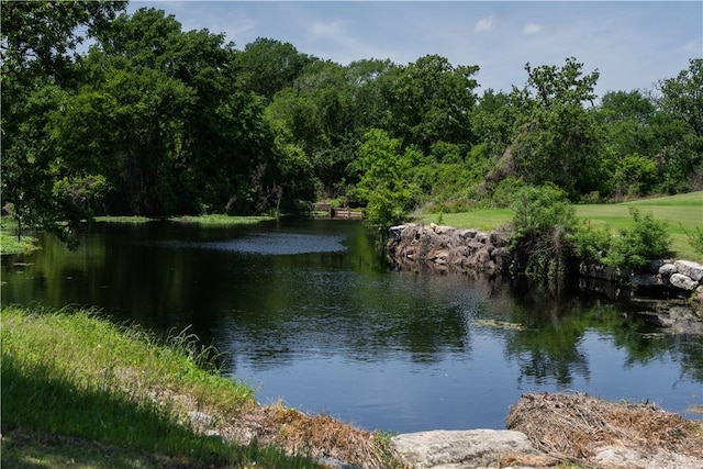 1107 Royal Adelade Dr, College Station, TX 77845 - view of water feature with a view of trees