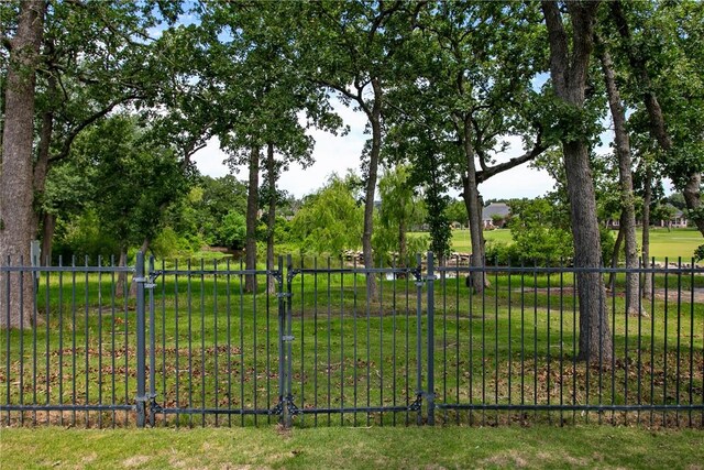 1107 Royal Adelade Dr, College Station, TX 77845 - view of yard