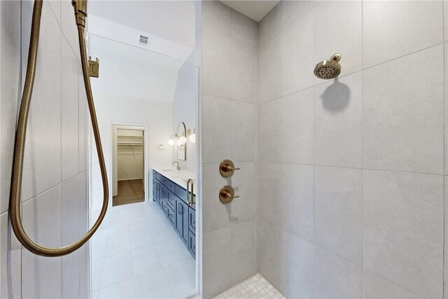 1107 Royal Adelade Dr, College Station, TX 77845 - detailed view of gray cabinetry and light countertops