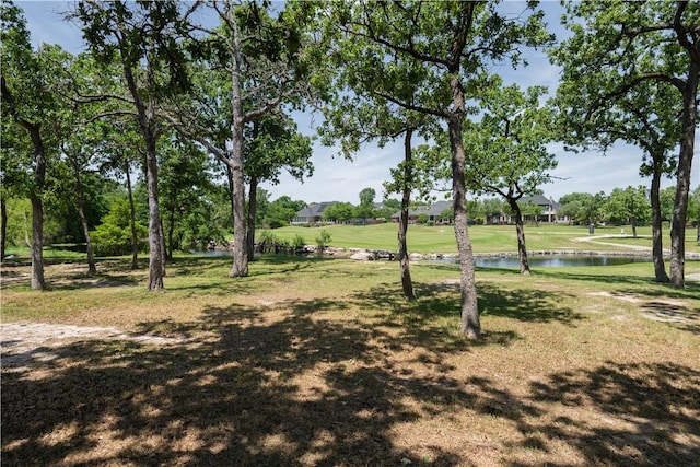 1107 Royal Adelade Dr, College Station, TX 77845 - view of property's community with a lawn and a water view