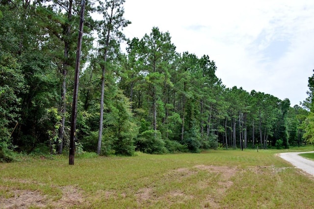 TBD Deep Forest Trail, Navasota, TX 77868 - photo 18