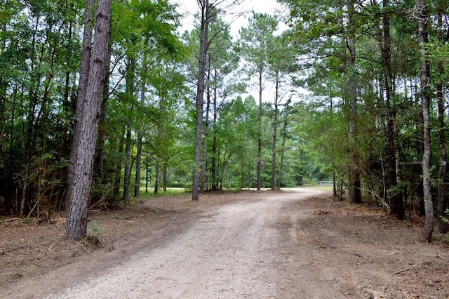TBD Deep Forest Trail, Navasota, TX 77868 - photo 16