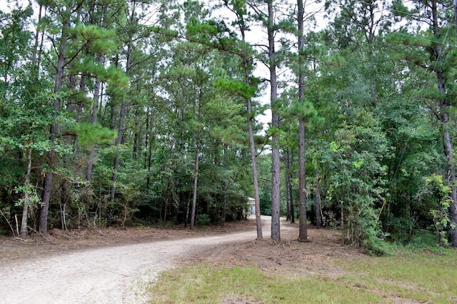 TBD Deep Forest Trail, Navasota, TX 77868 - photo 17