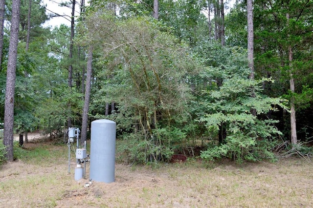 TBD Deep Forest Trail, Navasota, TX 77868 - photo 15