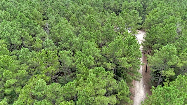 TBD Deep Forest Trail, Navasota, TX 77868 - photo 11