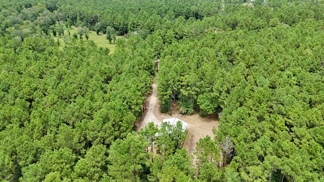 TBD Deep Forest Trail, Navasota, TX 77868 - photo 12