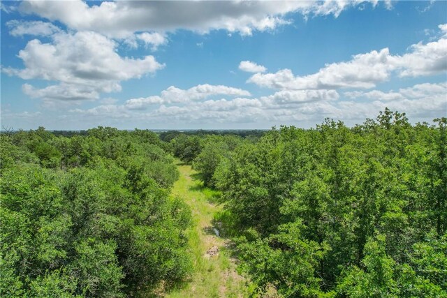 10344 County Road 446, Somerville, TX 77879 - photo 27