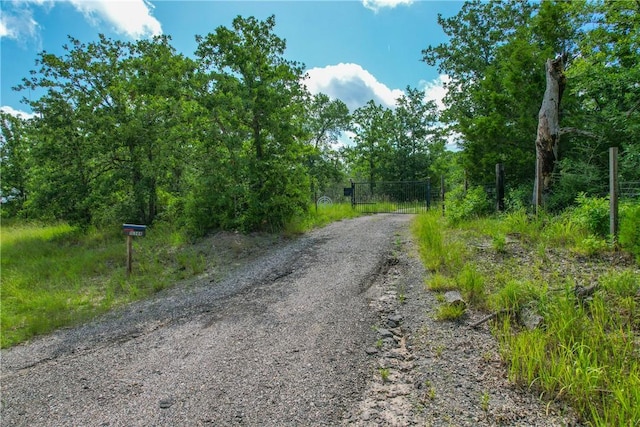 10344 County Road 446, Somerville, TX 77879 - photo 3