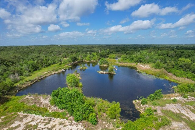10344 County Road 446, Somerville, TX 77879 - photo 8