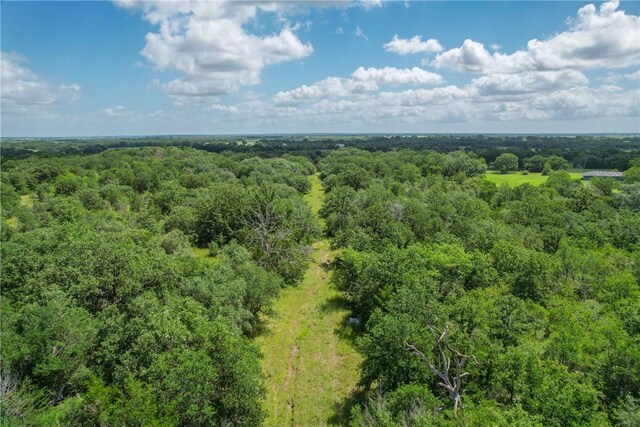 10344 County Road 446, Somerville, TX 77879 - photo 20