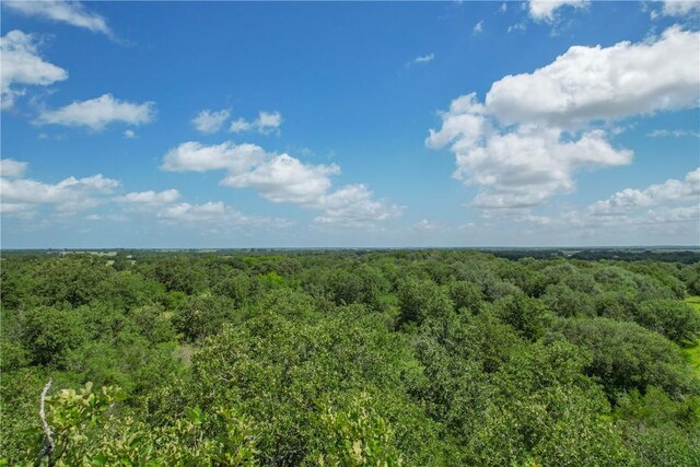 10344 County Road 446, Somerville, TX 77879 - photo 28