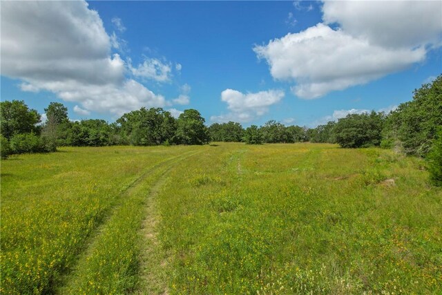 10344 County Road 446, Somerville, TX 77879 - photo 23