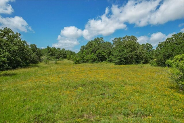10344 County Road 446, Somerville, TX 77879 - photo 10