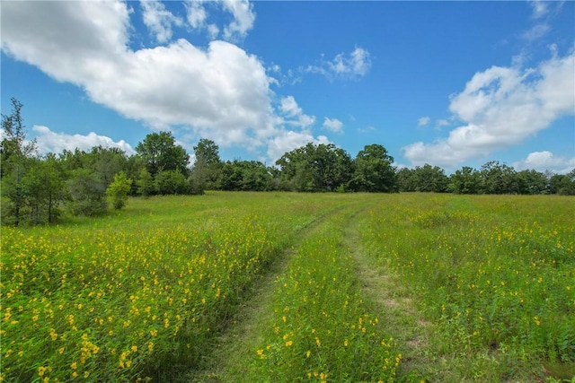10344 County Road 446, Somerville, TX 77879 - photo 5