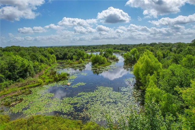 10344 County Road 446, Somerville, TX 77879 - photo 6