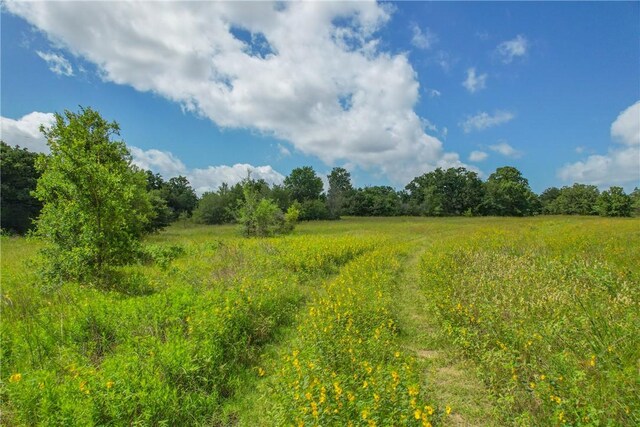 10344 County Road 446, Somerville, TX 77879 - photo 24