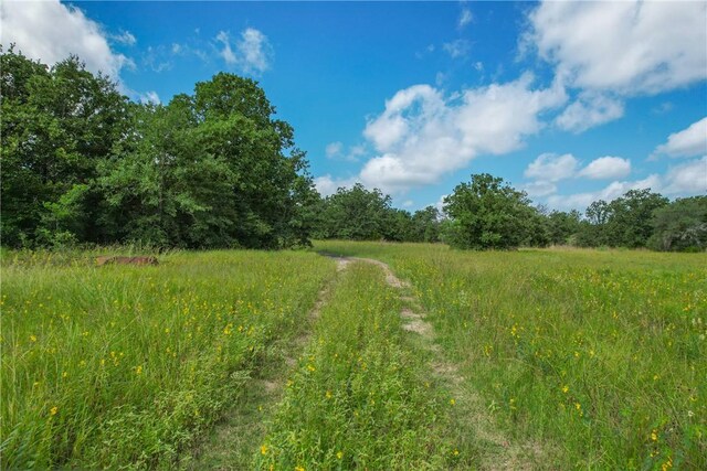 10344 County Road 446, Somerville, TX 77879 - photo 25