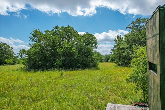 10344 County Road 446, Somerville, TX 77879 - photo 26