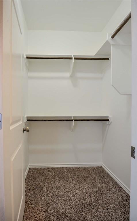 walk in closet featuring carpet flooring