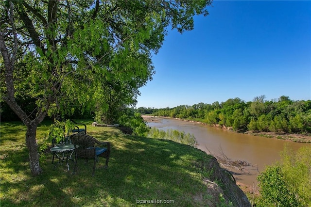 7576 River Ridge Drive, College Station, TX 77845 - view of grassy yard with a water view