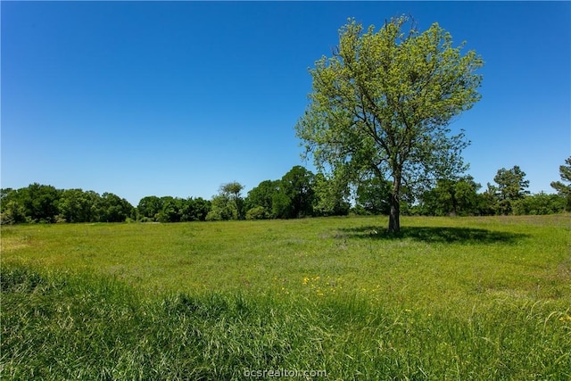 LOT24 Brazos Ct, Caldwell TX, 77836 land for sale