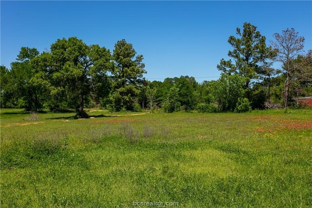 Listing photo 2 for LOT24 Brazos Ct, Caldwell TX 77836