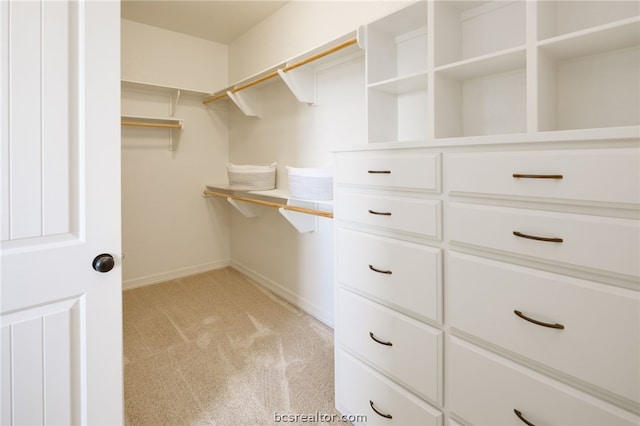 spacious closet featuring light carpet