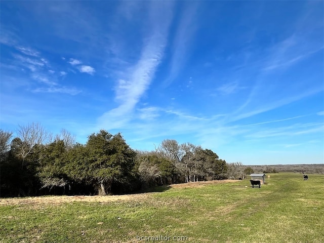 Listing photo 2 for TBD Oil Field Road, Brenham TX 77833