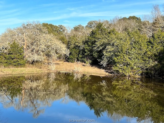 Listing photo 3 for TBD Oil Field Road, Brenham TX 77833