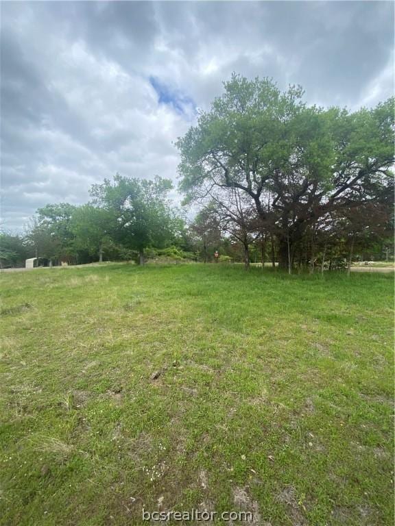 Listing photo 3 for 0 Ripple Creek Ln, Somerville TX 77879