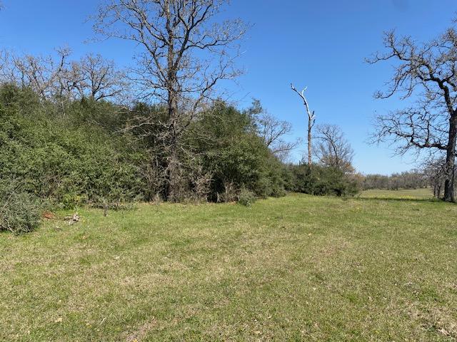 TBD Pleasant Grove Rd, Iola, TX 77861 - photo 11