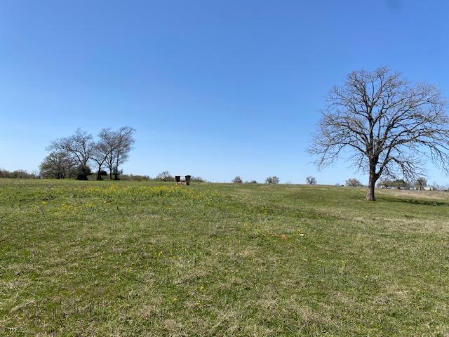 TBD Pleasant Grove Rd, Iola, TX 77861 - photo 4