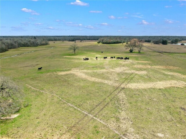 TBD Pleasant Grove Rd, Iola, TX 77861 - photo 24