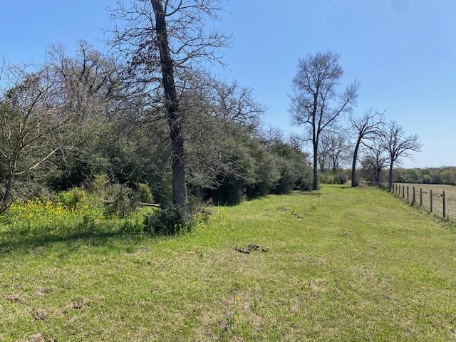 TBD Pleasant Grove Rd, Iola, TX 77861 - photo 8