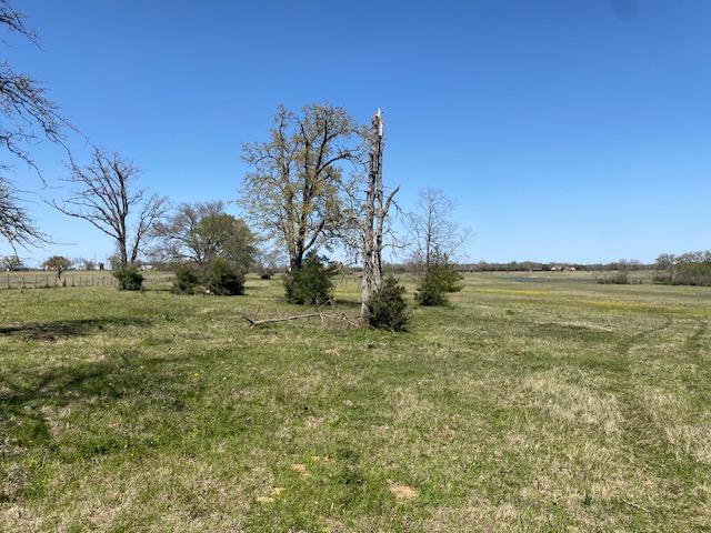 TBD Pleasant Grove Rd, Iola, TX 77861 - photo 6