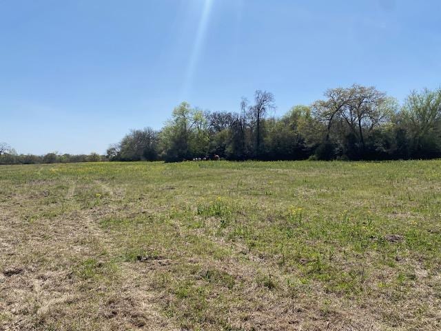 TBD Pleasant Grove Rd, Iola, TX 77861 - photo 18