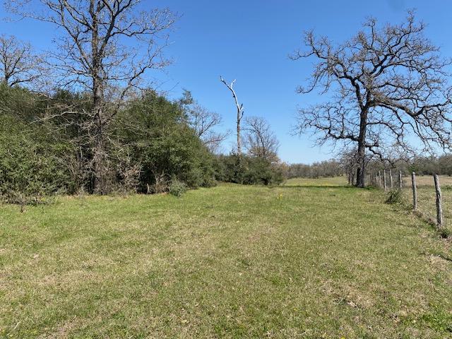 TBD Pleasant Grove Rd, Iola, TX 77861 - photo 10