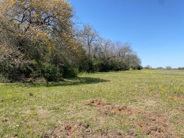 TBD Pleasant Grove Rd, Iola, TX 77861 - photo 14