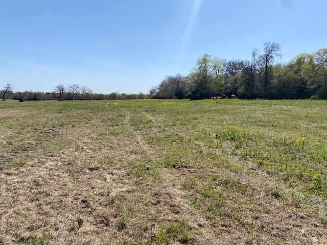 TBD Pleasant Grove Rd, Iola, TX 77861 - photo 19