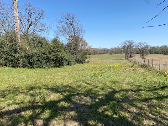 TBD Pleasant Grove Rd, Iola, TX 77861 - photo 12
