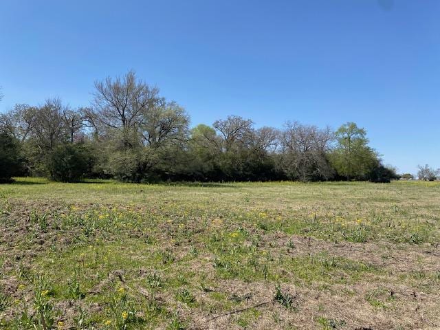 TBD Pleasant Grove Rd, Iola, TX 77861 - photo 2