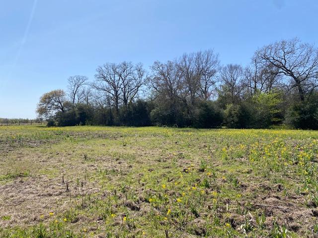 TBD Pleasant Grove Rd, Iola, TX 77861 - photo 15