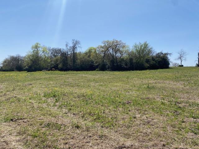 TBD Pleasant Grove Rd, Iola, TX 77861 - photo 17
