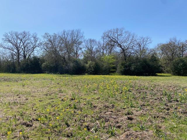 TBD Pleasant Grove Rd, Iola, TX 77861 - photo 16