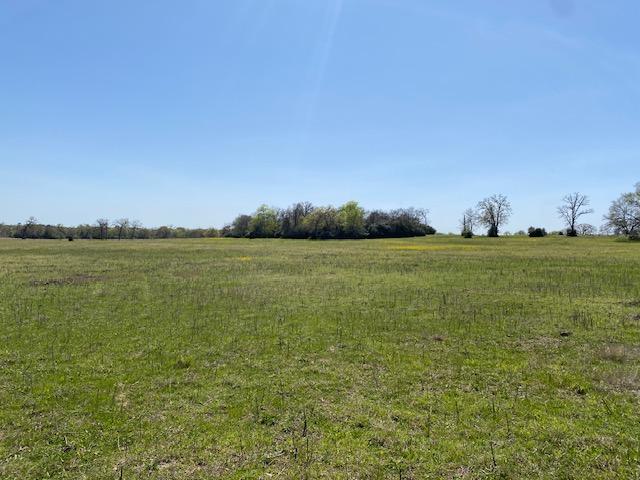 TBD Pleasant Grove Rd, Iola, TX 77861 - photo 3