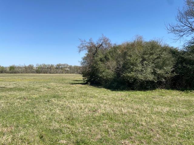 TBD Pleasant Grove Rd, Iola, TX 77861 - photo 7