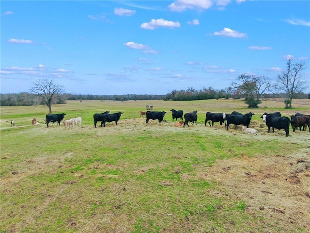 TBD Pleasant Grove Rd, Iola, TX 77861 - photo 1